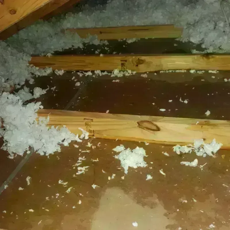 Attic Water Damage in Mendota, IL