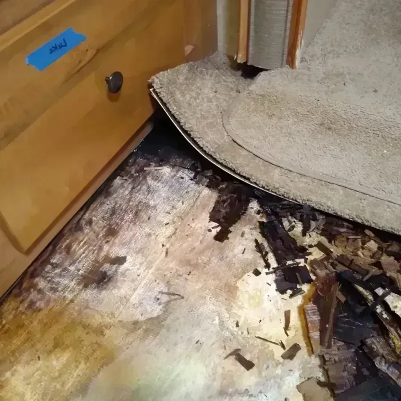 Wood Floor Water Damage in Mendota, IL